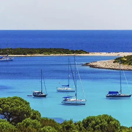 Vakantiehuis Robinson House Zut *