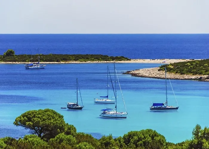 度假居 Robinson House Zut *